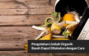 Berikan Contoh Limbah Organik Basah Dan Limbah Organik Kering